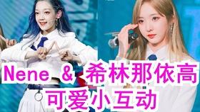小猫钓鱼正版下载中文版