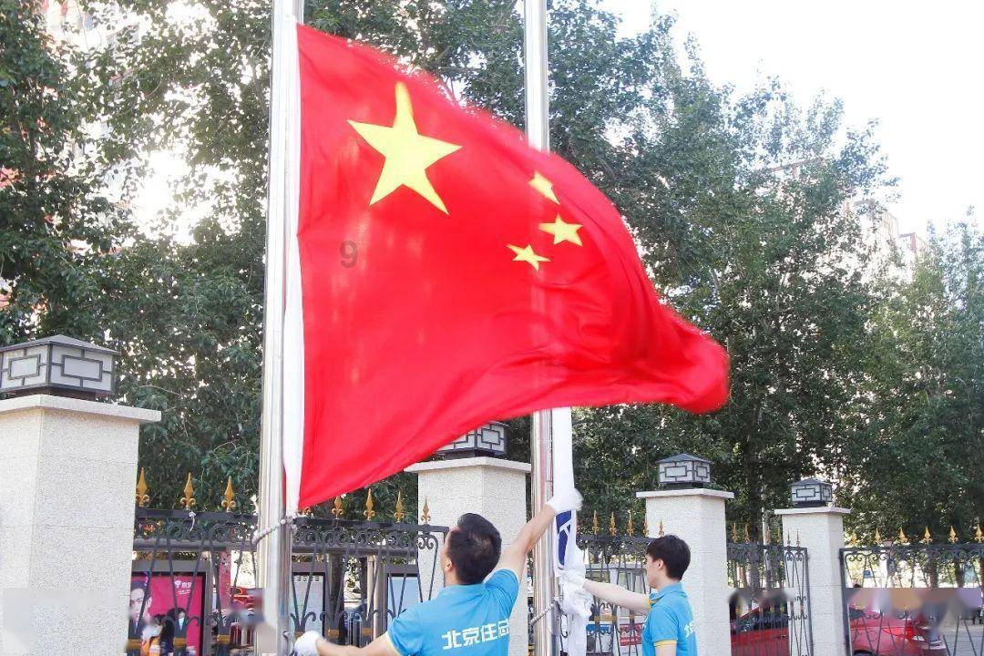 逃离金刚鹦鹉森林